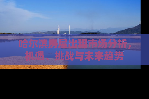 哈尔滨房屋出租市场分析，机遇、挑战与未来趋势
