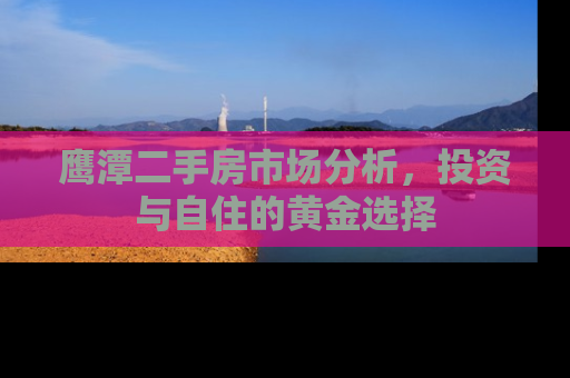 鹰潭二手房市场分析，投资与自住的黄金选择