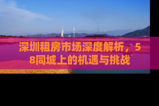 深圳租房市场深度解析，58同城上的机遇与挑战