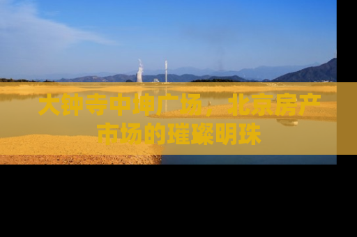 大钟寺中坤广场，北京房产市场的璀璨明珠