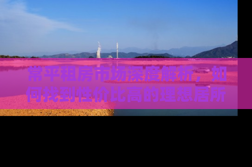 常平租房市场深度解析，如何找到性价比高的理想居所