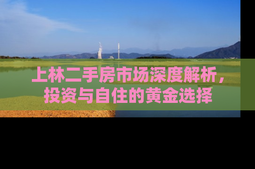 上林二手房市场深度解析，投资与自住的黄金选择