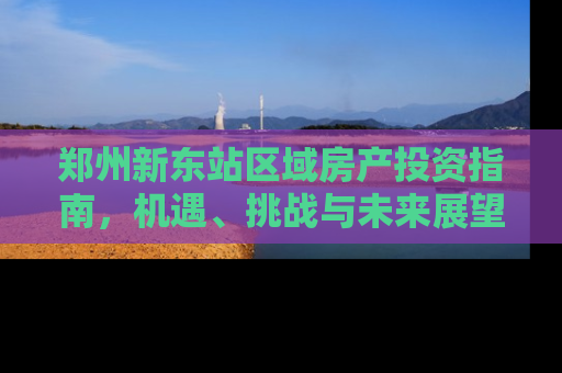 郑州新东站区域房产投资指南，机遇、挑战与未来展望