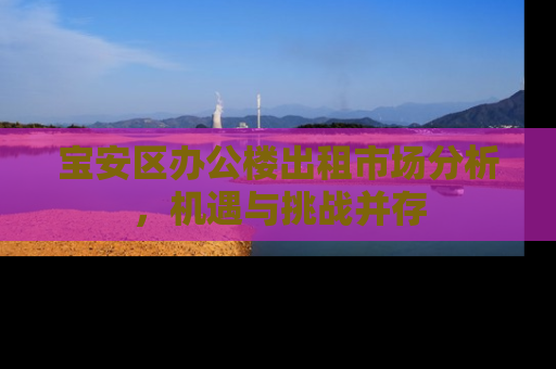 宝安区办公楼出租市场分析，机遇与挑战并存