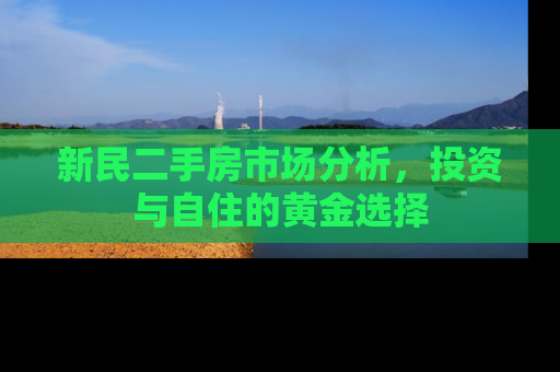 新民二手房市场分析，投资与自住的黄金选择