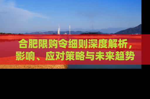 合肥限购令细则深度解析,影响、应对策略与未来趋势 合肥限购令细则深度解析,影响、应对策略与未来趋势
