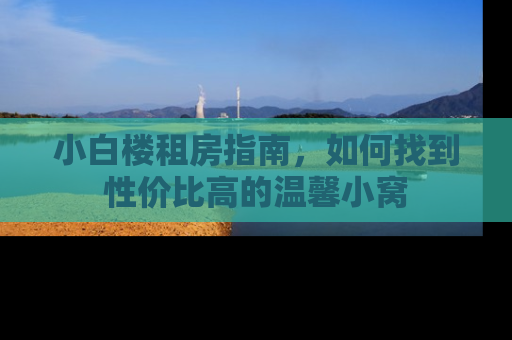 小白楼租房指南，如何找到性价比高的温馨小窝
