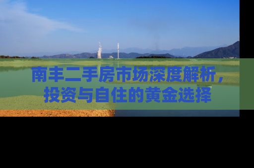 南丰二手房市场深度解析，投资与自住的黄金选择