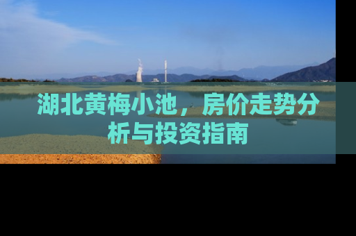 湖北黄梅小池，房价走势分析与投资指南