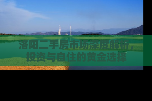 洛阳二手房市场深度解析，投资与自住的黄金选择