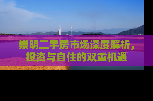 崇明二手房市场深度解析，投资与自住的双重机遇