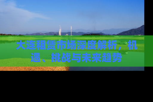 大连租赁市场深度解析，机遇、挑战与未来趋势