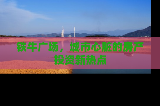 铁牛广场，城市心脏的房产投资新热点