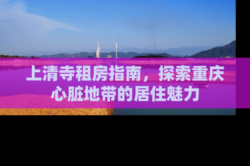 上清寺租房指南，探索重庆心脏地带的居住魅力