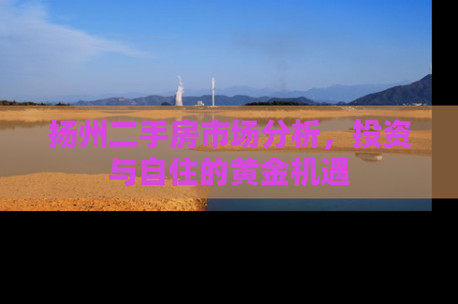扬州二手房市场分析，投资与自住的黄金机遇
