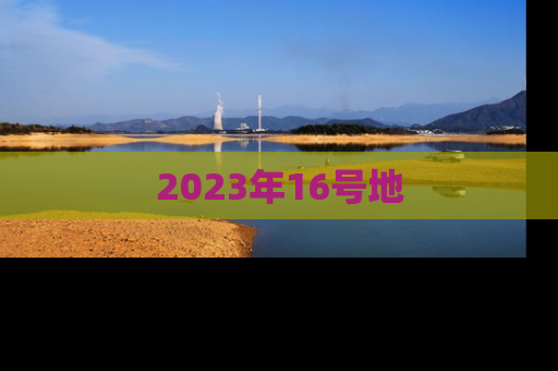 2023年16号地