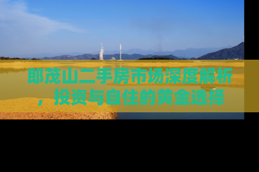 郎茂山二手房市场深度解析，投资与自住的黄金选择