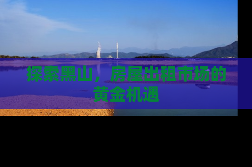 探索黑山，房屋出租市场的黄金机遇