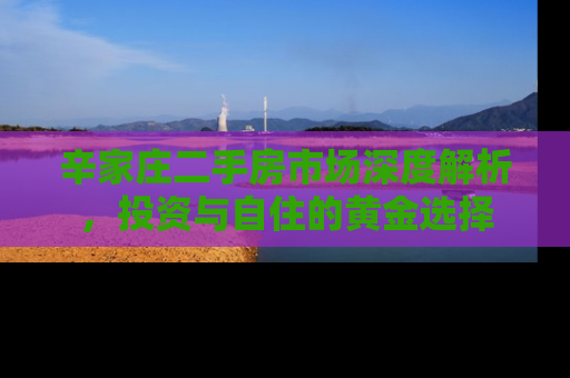 辛家庄二手房市场深度解析，投资与自住的黄金选择