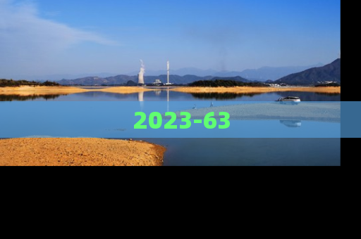 2023-63
