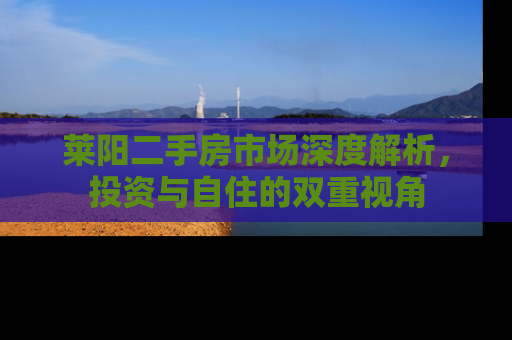 莱阳二手房市场深度解析，投资与自住的双重视角