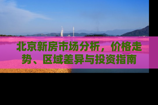 北京新房市场分析，价格走势、区域差异与投资指南