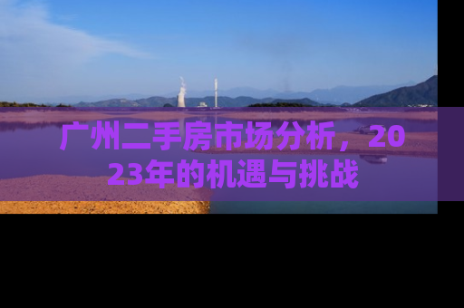 广州二手房市场分析，2023年的机遇与挑战