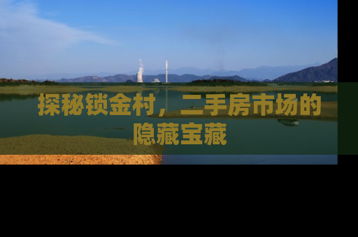 探秘锁金村，二手房市场的隐藏宝藏