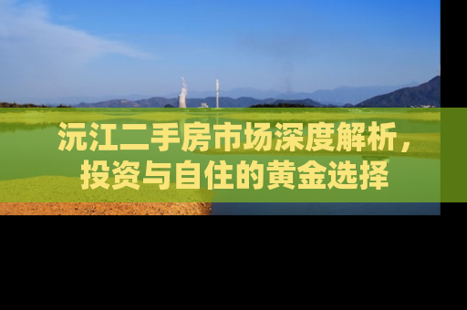 沅江二手房市场深度解析，投资与自住的黄金选择