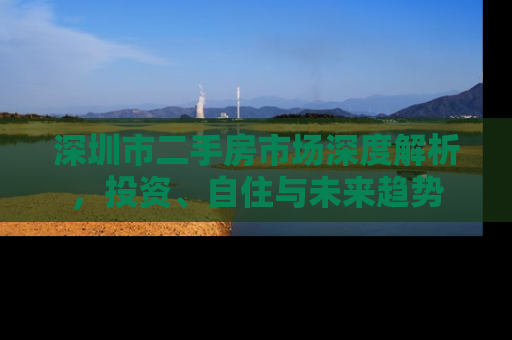 深圳市二手房市场深度解析，投资、自住与未来趋势