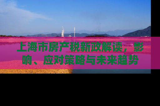 上海市房产税新政解读，影响、应对策略与未来趋势