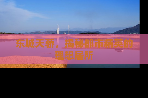 东城天骄，揭秘都市精英的理想居所