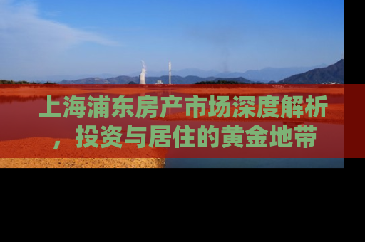 上海浦东房产市场深度解析，投资与居住的黄金地带