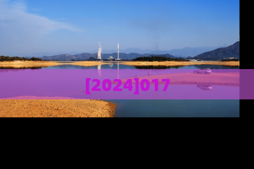 [2024]017