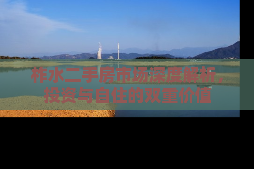 柞水二手房市场深度解析，投资与自住的双重价值