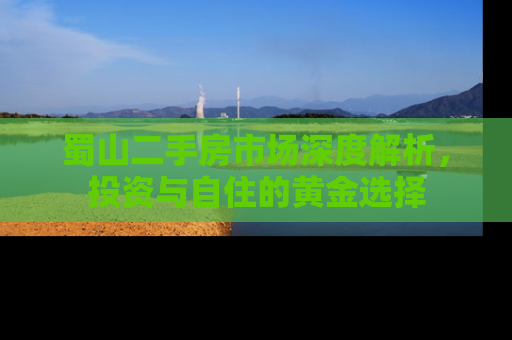 蜀山二手房市场深度解析，投资与自住的黄金选择