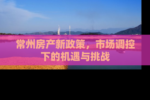 常州房产新政策，市场调控下的机遇与挑战