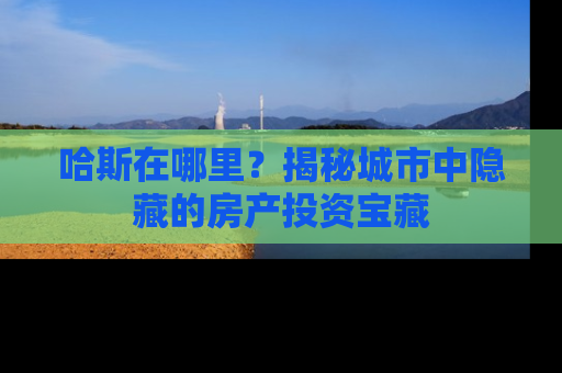 哈斯在哪里？揭秘城市中隐藏的房产投资宝藏