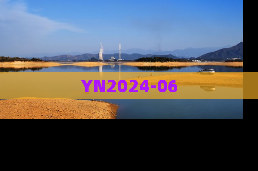 YN2024-06