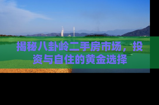 揭秘八卦岭二手房市场，投资与自住的黄金选择