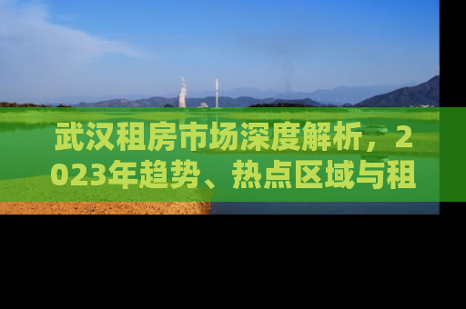 武汉租房市场深度解析，2023年趋势、热点区域与租房攻略