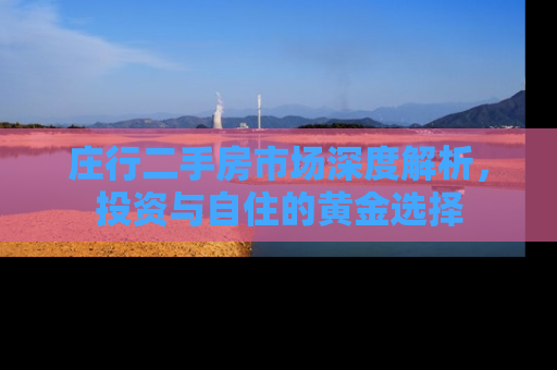 庄行二手房市场深度解析，投资与自住的黄金选择