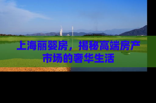 上海丽婴房，揭秘高端房产市场的奢华生活