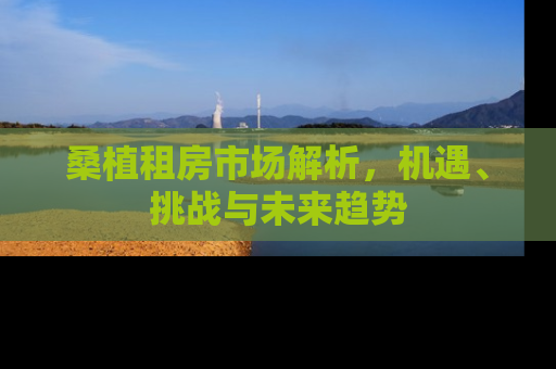 桑植租房市场解析，机遇、挑战与未来趋势
