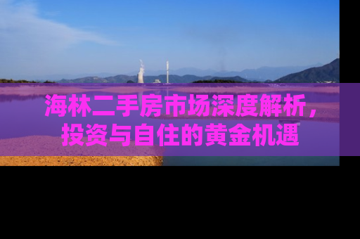 海林二手房市场深度解析，投资与自住的黄金机遇