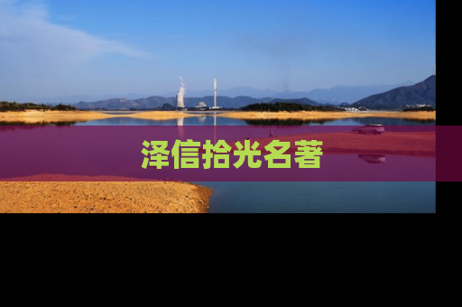 泽信拾光名著