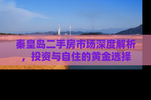 秦皇岛二手房市场深度解析，投资与自住的黄金选择