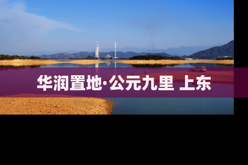 华润置地·公元九里 上东