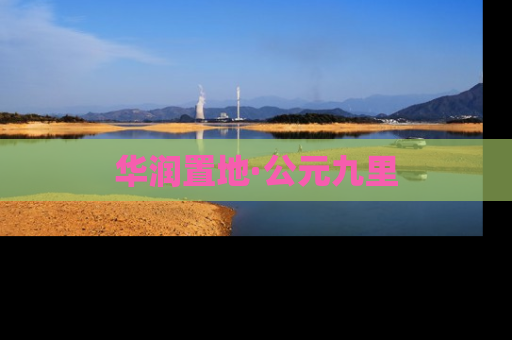 华润置地·公元九里