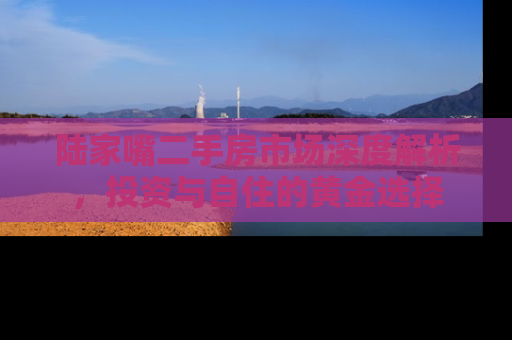 陆家嘴二手房市场深度解析，投资与自住的黄金选择